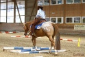 26-ApHC GT_180